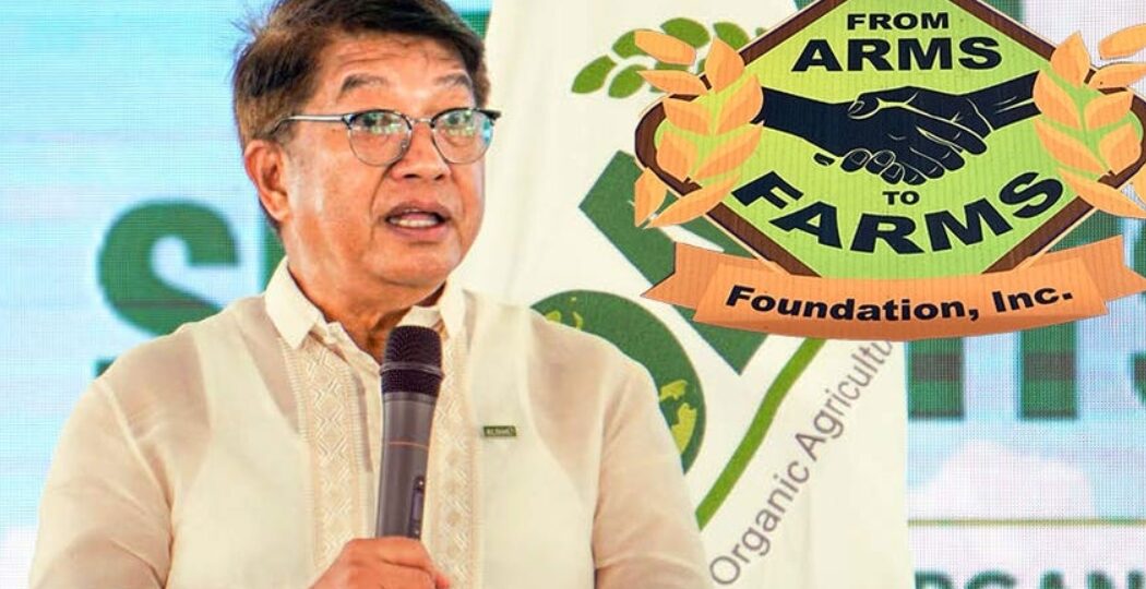 PHILIPPINEN: Bio-Gemüse statt Maschinengewehre